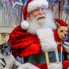 Santa And Puppies Paint By Numbers