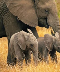 Elephant And Tow Babies Paint By Numbers