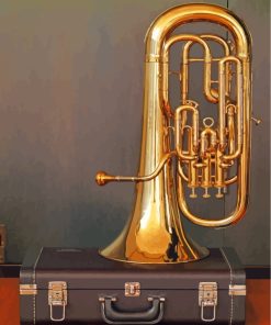 Tuba Instrument Paint By Numbers