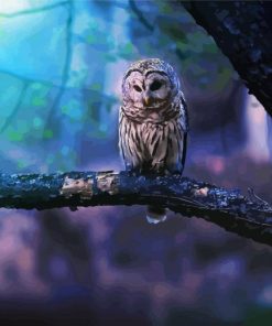 Artistic Barred Owl Paint By Numbers