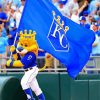 Baseball Royals Flage Paint By Numbers