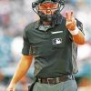 Baseball Umpire Paint By Numbers