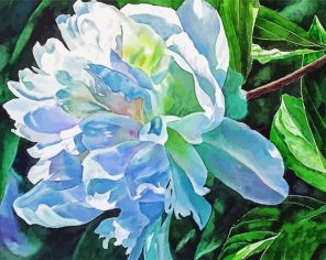 Beautiful White Peony Paint By Numbers