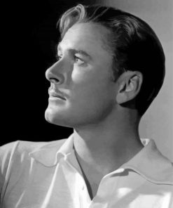 Handsome Errol Flynn Paint By Numbers