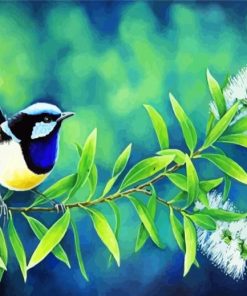 Blue Wren Bird Paint By Numbers