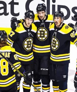 Bruins Hockey Team Paint By Numbers