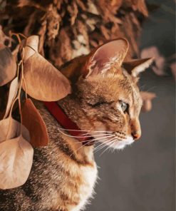 Aesthetic Abyssinian Cat Paint By Numbers
