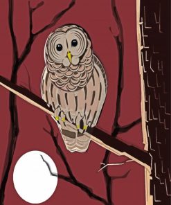 Barred Owl Art Paint By Numbers