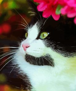 Cute Tuxedo Kitty Paint By Numbers