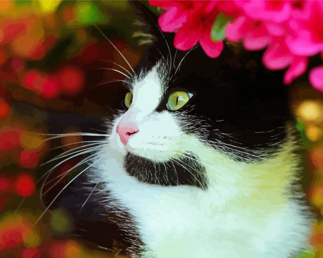 Cute Tuxedo Kitty Paint By Numbers