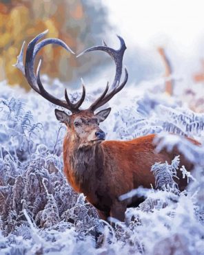 Deer In Winter Paint By Numbers