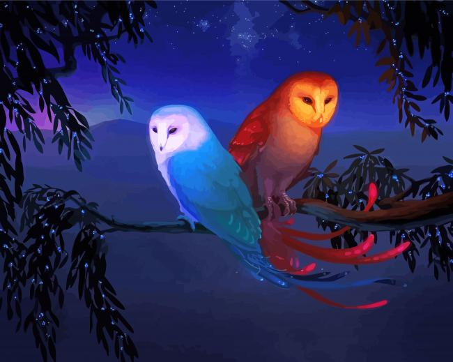 Fantasy Owls Paint By Numbers