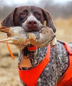 Hunting Dog Paint By Numbers
