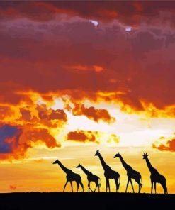 Giraffes At Sunset Paint By Numbers