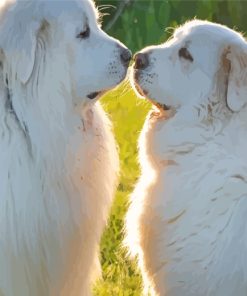 Great Pyrenees Couple Paint By Numbers