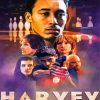 Harvey Movie Poster Paint By Numbers