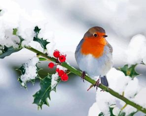 Snowy Bird Paint By Numbers