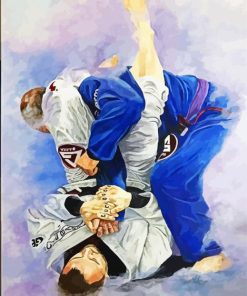 Jiu Jitsu Players Paint By Numbers