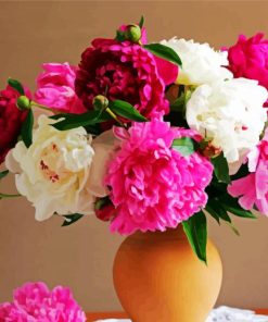 Beautiful Peony Flowers Paint By Numbers