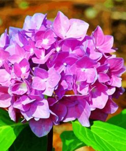 Purple Hydrangeas Roses Paint By Numbers