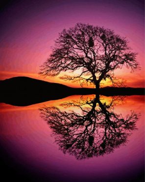 Tree Reflection In Water Paint By Numbers
