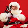 Santa Claus With Puppy Paint By Numbers