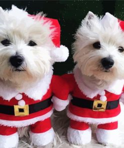 Christmas Puppies Paint By Numbers