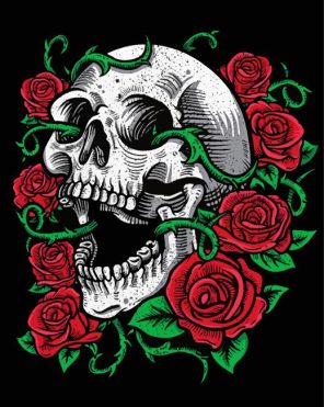 Skull And Roses Paint By Numbers