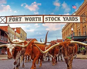 Stockyards Paint By Numbers