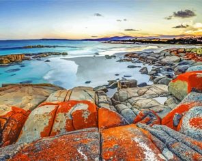 Tasmania Beach Paint By Numbers