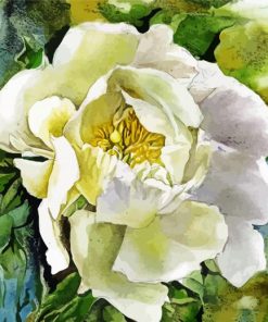 Aesthetic Peony Flower Paint By Numbers