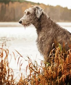 Wolfhound Puppy Paint By Numbers