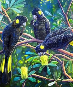Black Cockatoos Paint By Numbers