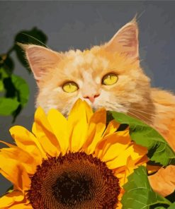Cat With Sunflower Paint By Numbers