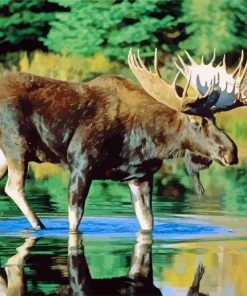 Moose Water Paint By Numbers