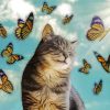 Kitty With butterflies Paint By Numbers