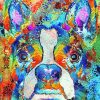 Boston Terrier Art Paint By Numbers