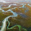 Lowcountry Marsh Paint By Numbers
