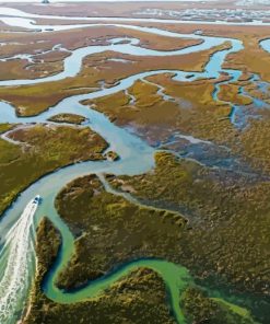 Lowcountry Marsh Paint By Numbers