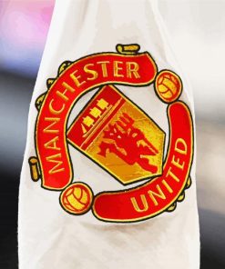Manchester United Flag Paint By Numbers