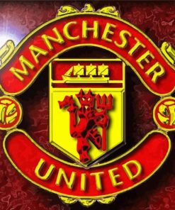 Manchester Club Logo Paint By Numbers