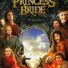 Princess Bride Poster Paint By Numbers