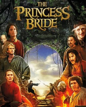Princess Bride Poster Paint By Numbers