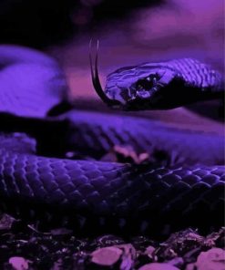 Purple Snake Paint By Numbers