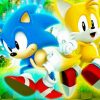 Sonic And Tails Paint By Numbers