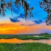 Carolina Lowcountry Paint By Numbers