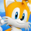 Tails Character Paint By Numbers