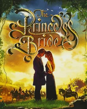 The Princess Bride Paint By Numbers