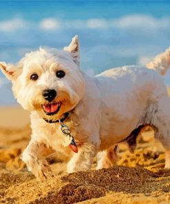 Happy Terrier Dog Paint By Numbers