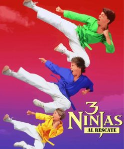 3 Ninjas Movie Paint By Numbers
